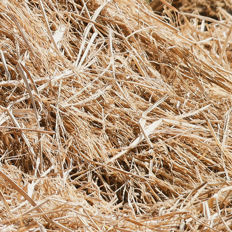 Plant-Based Material sustainable packaging material